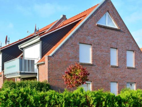 Seestern | Norddeich