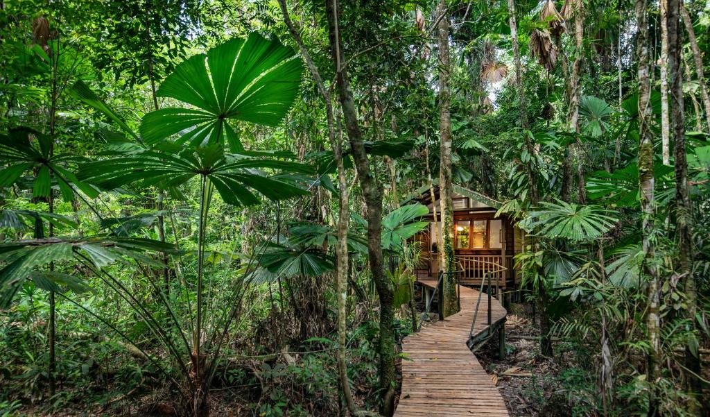 Daintree Wilderness Lodge | Diwan