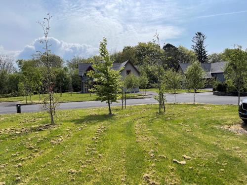 Ardnagashel Woods | Ardnatrush