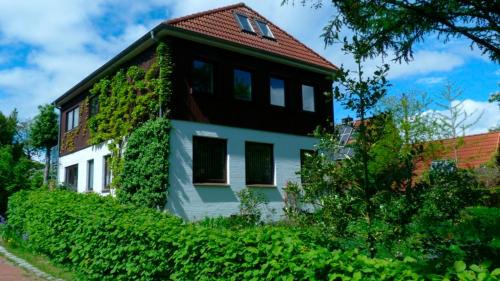 Rieger Fw | Eckernfoerde