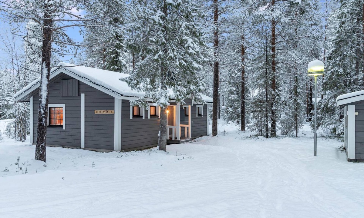 Senaattori | Yllasjarvi