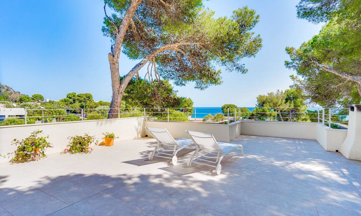 Ses Alzines | Costa de los Pinos