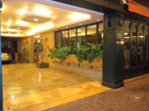 Viccini Bdr | Hamra