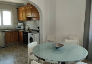 0690 Benicadims Anturium