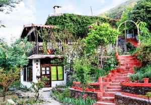 1-BR cottage in Pangot, Nainital, by GuestHouser 22772