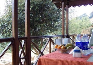 1-BR cottage in Pangot, Nainital, by GuestHouser 22772