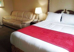 2-Star Hotel ∙ Econo Lodge City Centre