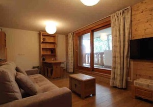 230m from ski slopes, floor -3, balcony, ski locker, 40m², Peisey-Vallandry