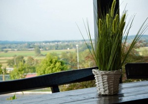 24 m² House ∙ 1 bedroom ∙ 3 guests