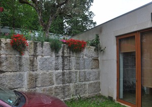 24 m² Private room ∙ 1 bedroom ∙ 4 guests