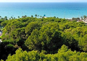 4-Star Hotel ∙ Grupotel Taurus Park