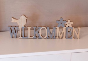 40 m² Apartment ∙ 1 bedroom ∙ 2 guests