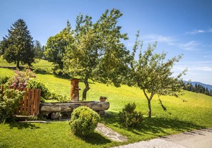 50 m² Apartment ∙ 2 bedrooms ∙ 4 guests