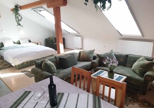 50 m² Studio flat ∙ 3 guests