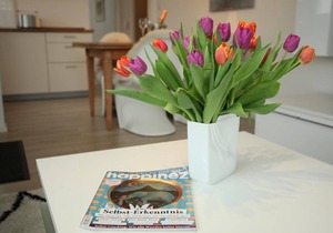 62 m² Apartment ∙ 2 bedrooms ∙ 4 guests