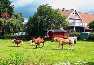 72 m² House ∙ 2 bedrooms ∙ 4 guests