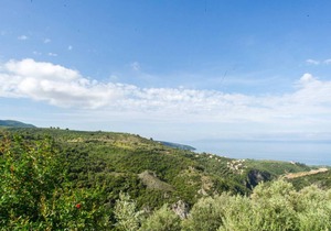 80 m² Apartment ∙ 2 bedrooms ∙ 4 guests