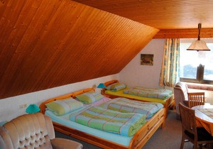 Alte Schmiede App 3
