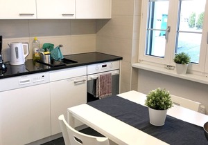 Apartment Erlinsbach