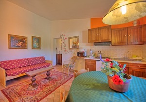Apartment with pool, A/C, WIFI, pets allowed, panoramic view, parking, close to Greve In Chianti