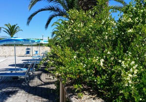 Appartamento con Piscina Vicino al Mare