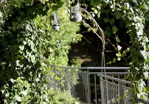 B&B La Voce del Fiume: "Ruby" suite