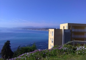 Bahia Pelicanos