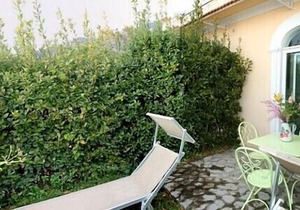 Casa Ilnira D, fully refundable with voucher*: A bright and sunny apartment in a quiet position, located on a hillside above the sea, with Free WI-FI.