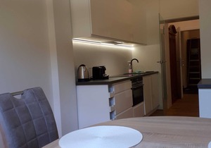Castle Tower Apartment - Hohendorf Castle