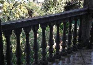 Chakvi