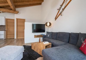 Chalet in Piesendorf near Ski Slopes