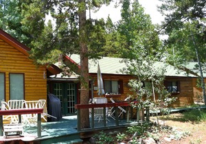 Charming Log Cabin for Peaceful Mountain Getaway!
