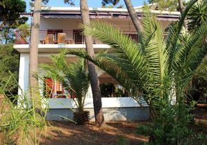 Comfortable apartment, close to the beautiful beach, wifi | Messenia, Peloponnes