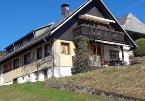 Cosy apartment in Todtnauberg in the Black Forest with private terrace