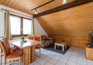 Cosy apartment in Todtnauberg in the Black Forest with private terrace
