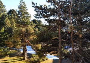 Cozy 3-Room Apartment for 6 in Forest Setting with Parking - Font-Romeu