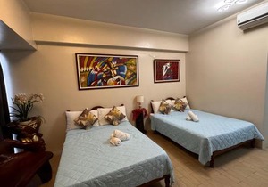Cozyvilla at 81 Newport Blvd walk to NAIA T3 Marriott & Resorts World Casino & Newport Mall for 5 Pax FREE PARKING!