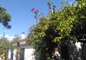 Cuartos en Casa Buganvilla Valizas