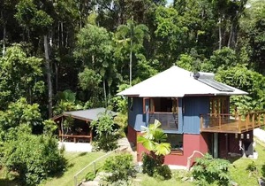 Daintree Holiday Homes - Treeverb Beach House