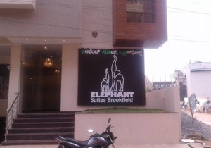 Elephant Suites Brookefield # 15