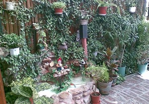 Family Hotel Natalis