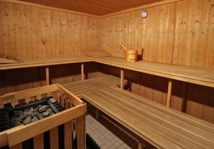 Fewo 2 - Residenz Schauinsland -Sauna, E-Ladestation, Schauinsland- Todtnauberg, Liftverbund Feldberg