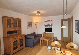 Fewo 2 - Residenz Schauinsland -Sauna, E-Ladestation, Schauinsland- Todtnauberg, Liftverbund Feldberg