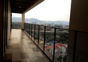Flexus Signature Suites
