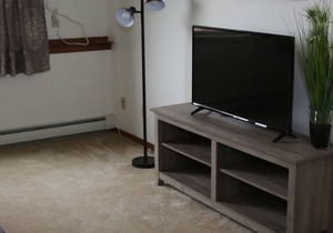 Furnished Apartment - Long & Short Stay in Lamberton MN