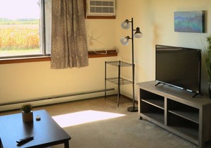 Furnished Apartment - Long & Short Stay in Lamberton MN