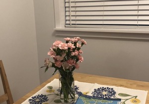 great Kitsilano Deal !! 1 month+