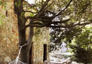 Holiday house Montecatini Val di Cecina for 1 - 6 persons with 3 bedrooms - Holiday house