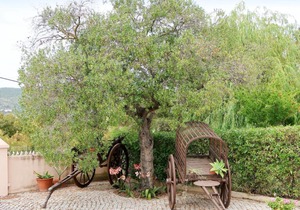 Holiday Home Monte do Afonso