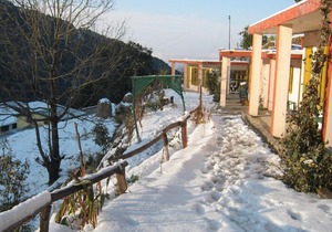 Janardan Resort Pangot - Nainital